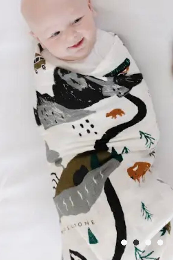 National Parks Swaddle