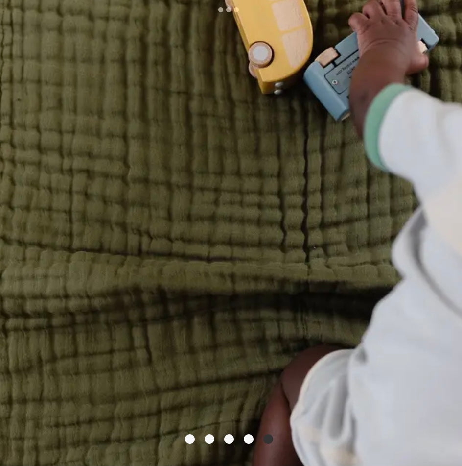 National Parks Quilt