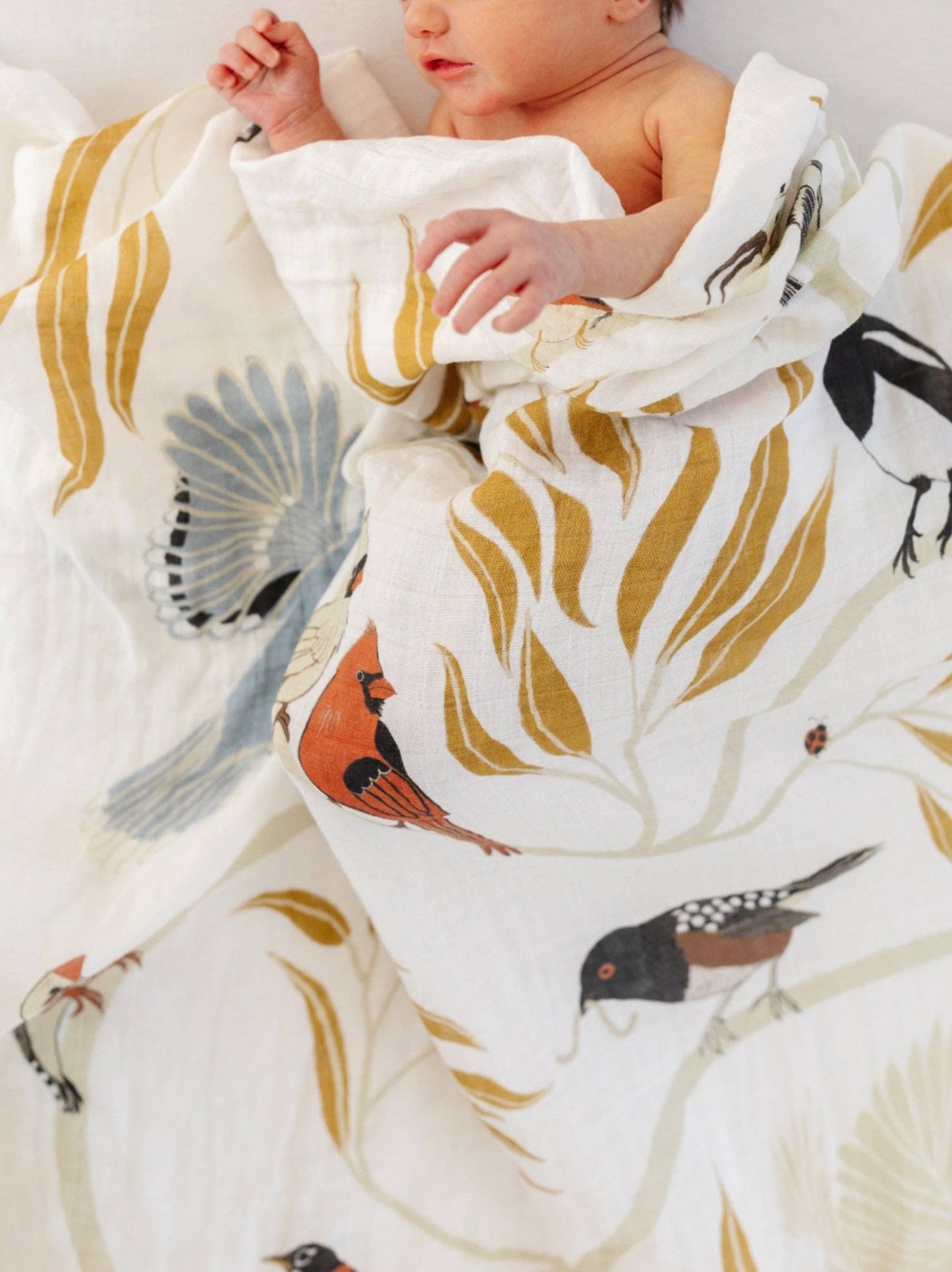 Birds Swaddle
