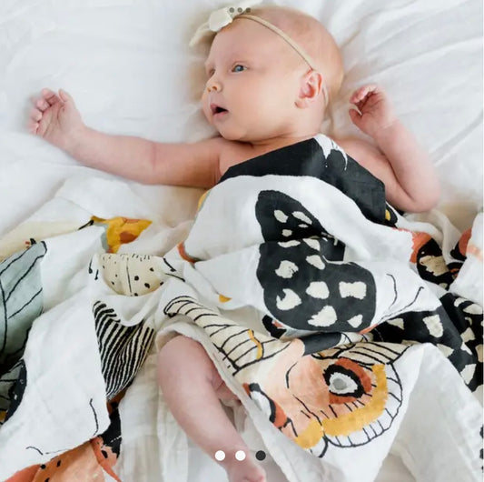 Butterfly Collector Swaddle