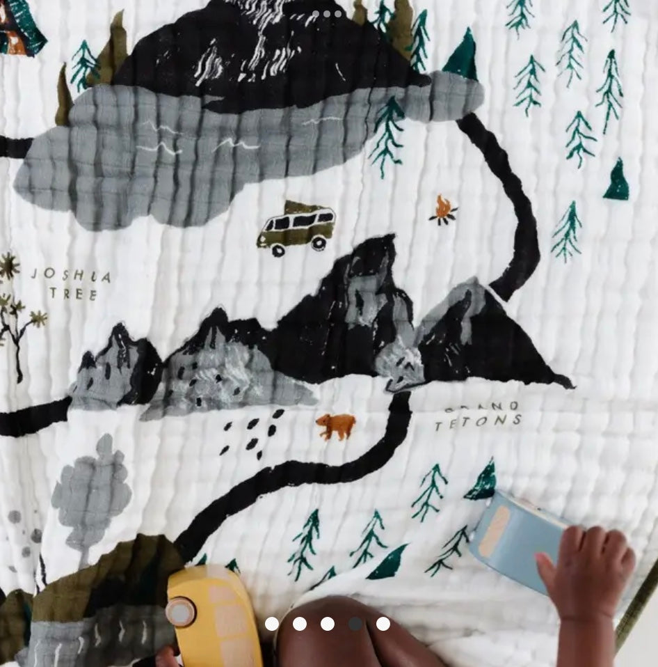 National Parks Quilt
