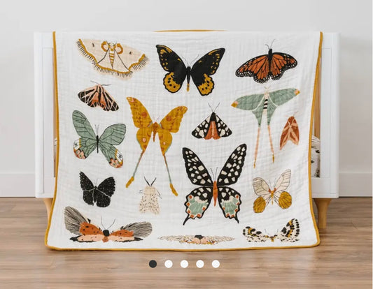 Butterfly Collector Quilt