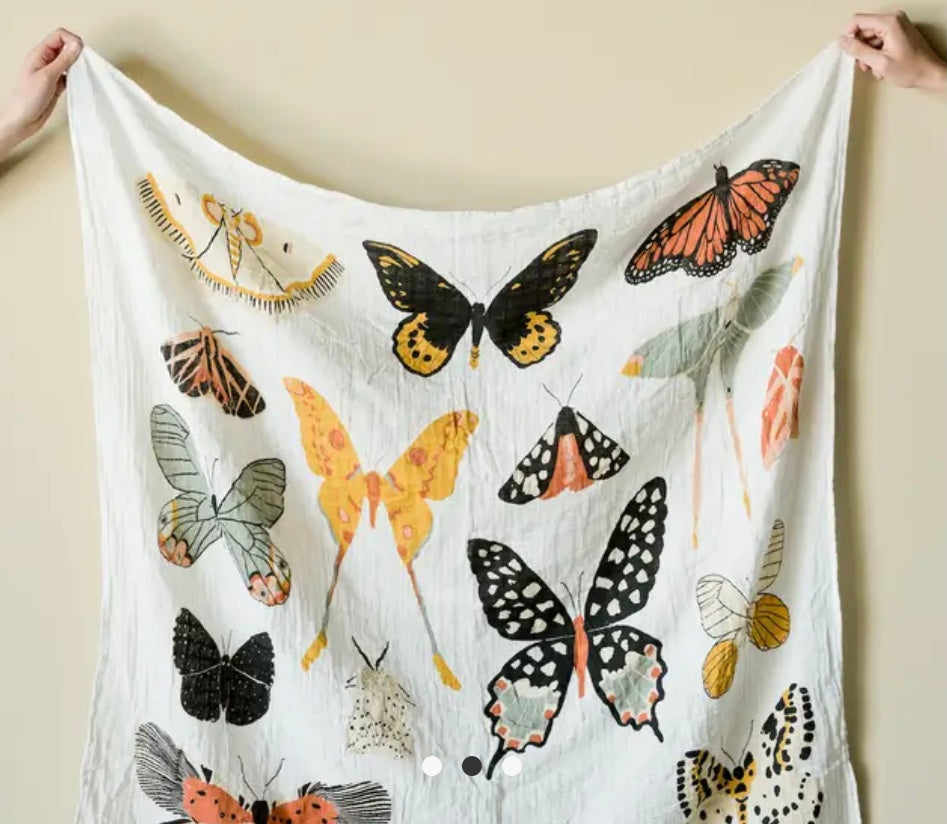 Butterfly Collector Swaddle